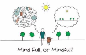 Mind Full, Mindful