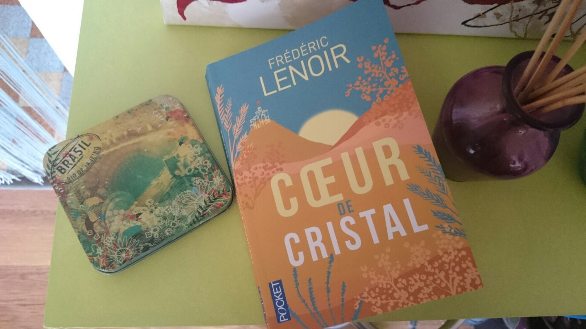 Coeur de cristal – Frédéric LENOIR 