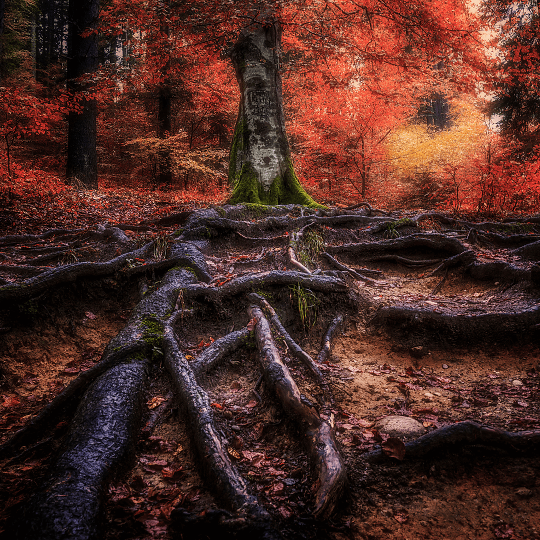 Construire son arbre généalogique