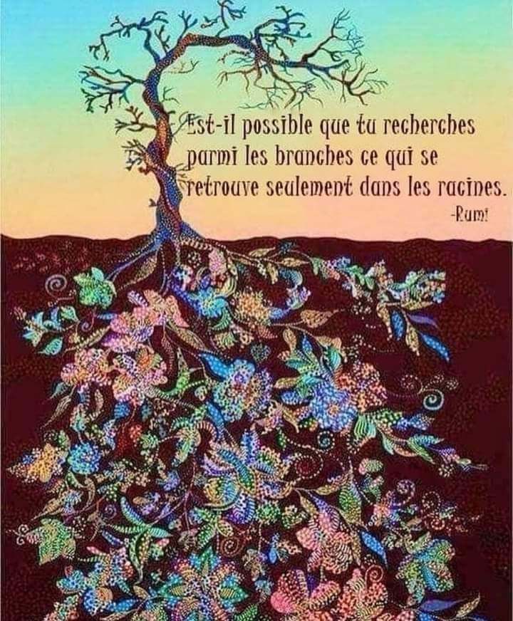 citation rumi arbre