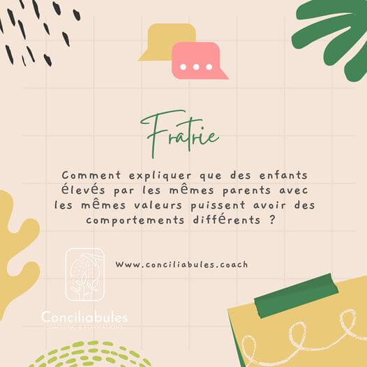 fratrie problèmes relationnels