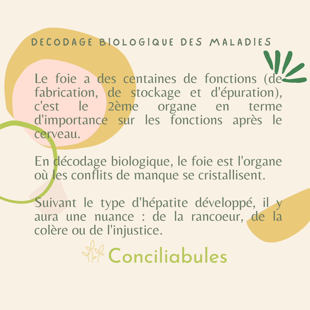 décodage foie et hépatite