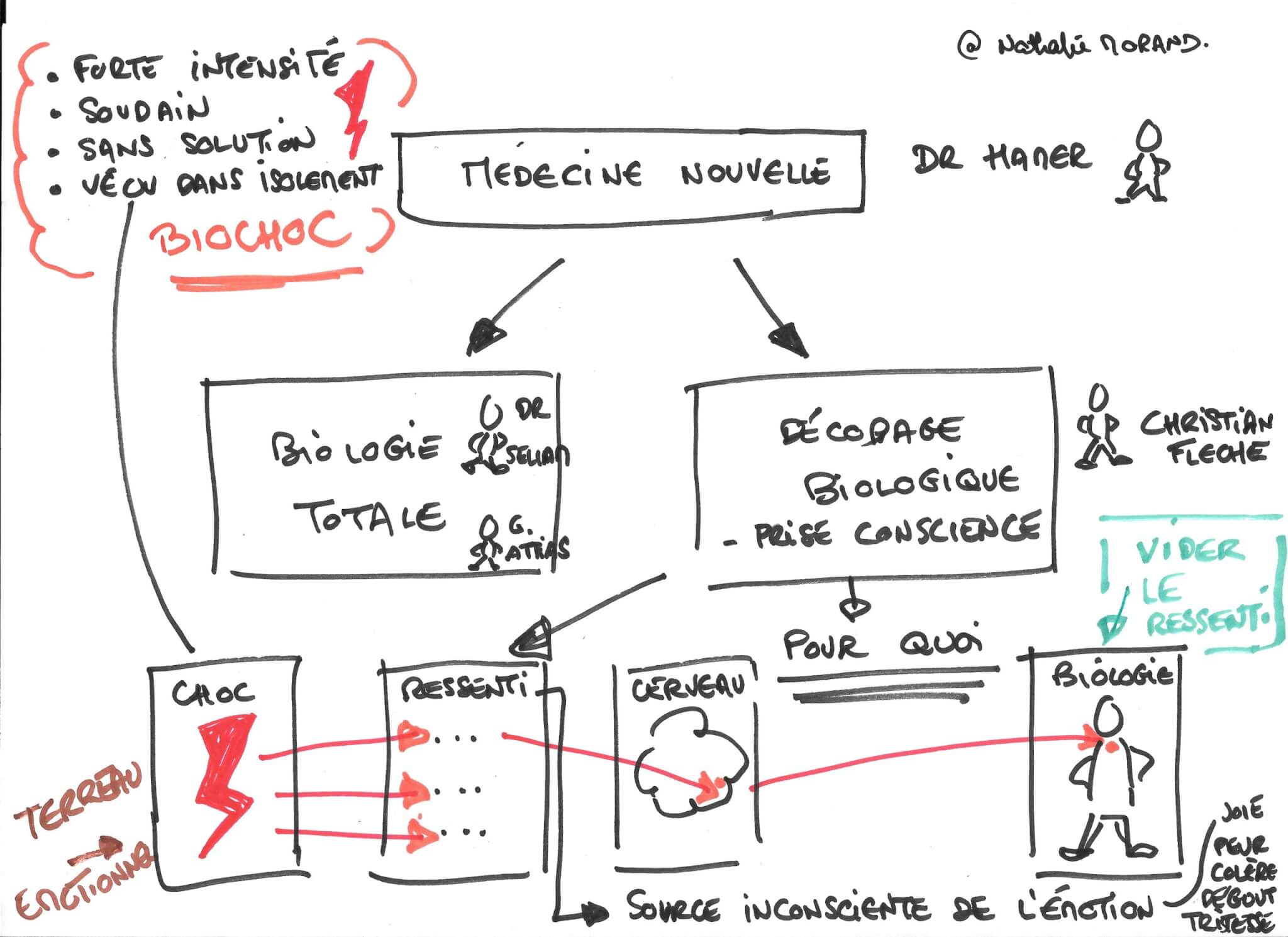 décodage biologique en image