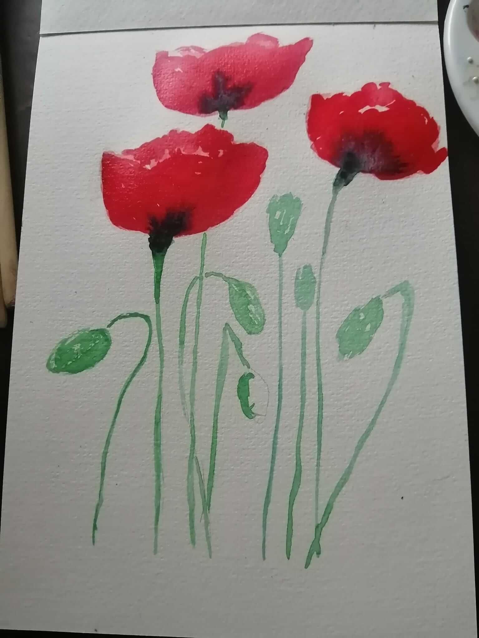 coquelicots