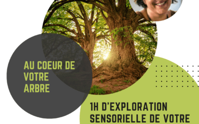 Au coeur de votre arbre